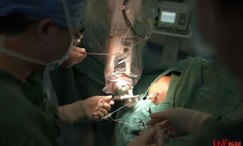 权威薤白主治什么平台,分享专业薤白主治功能和作用知识_薤白及主治网