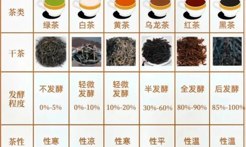 薤白主治什么病-权威薤白主治什么平台,分享专业薤白主治功能和作用知识_薤白及主治网
