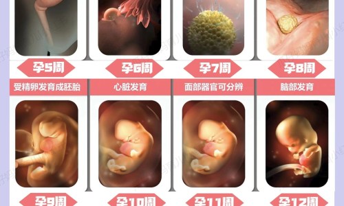 权威薤白主治什么平台,分享专业薤白主治功能和作用知识_薤白及主治网